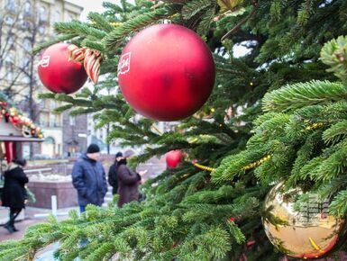 Квартиры под елочку: новогодние акции и скидки от застройщиков Москвы и Московской области