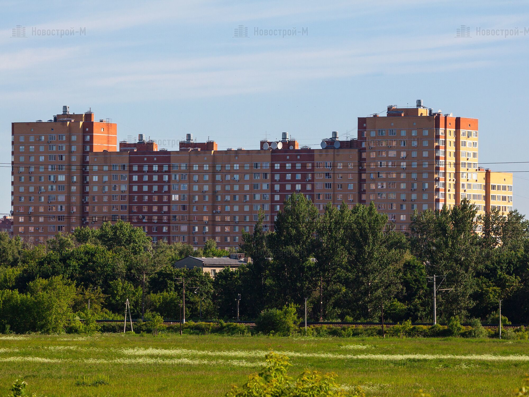 Щелково центральная 17 фото