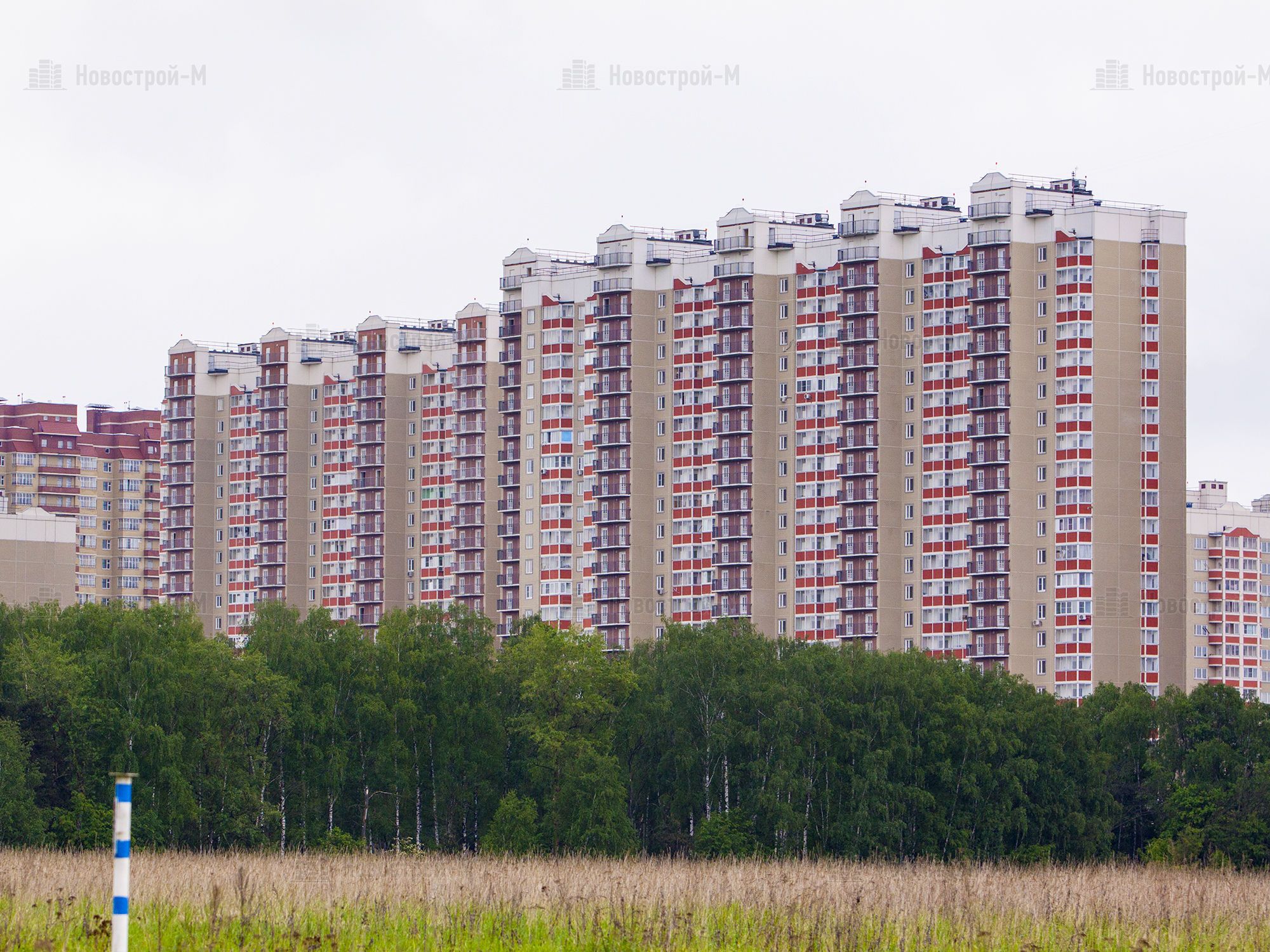 Фото на паспорт балашиха алексеевская роща