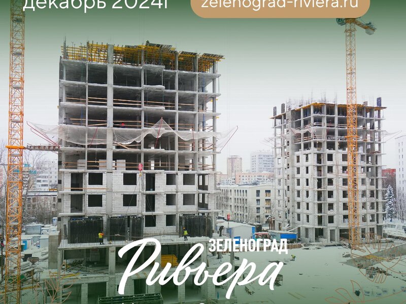 Декабрь 2024